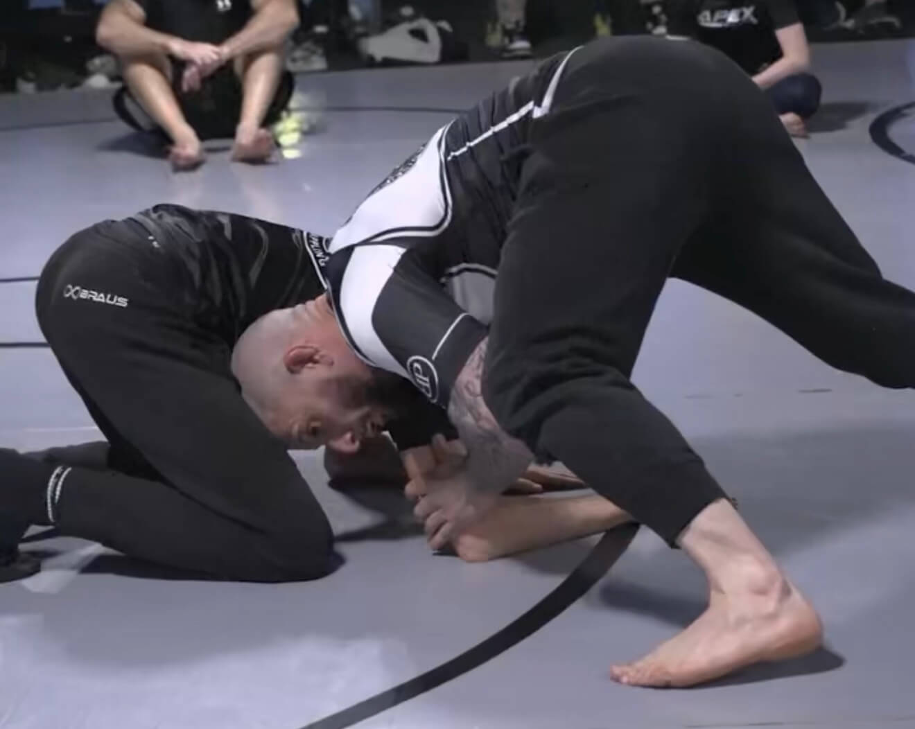 Intro to MMA classes at APEX Sterling