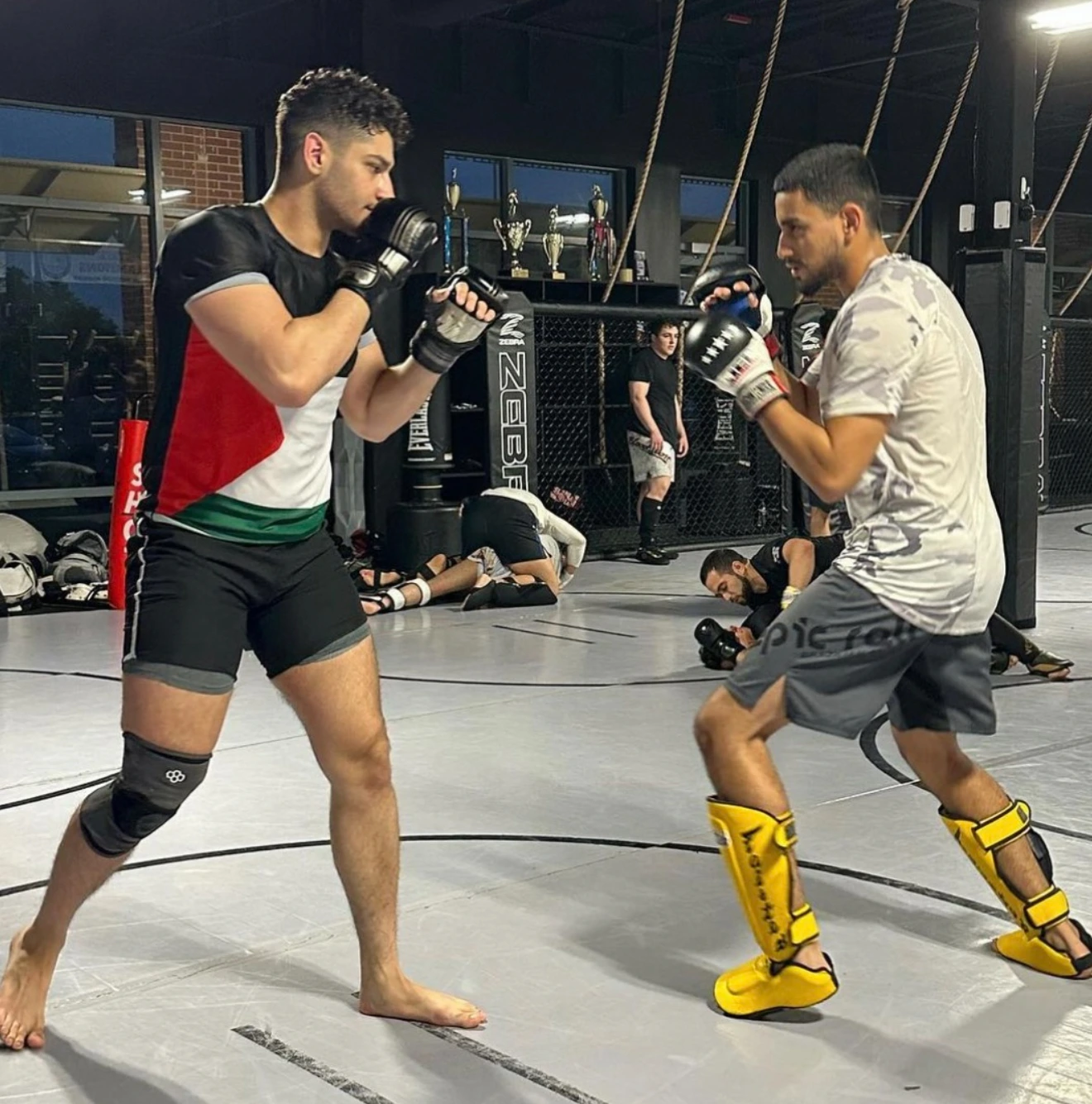 Intro to MMA classes at APEX Sterling